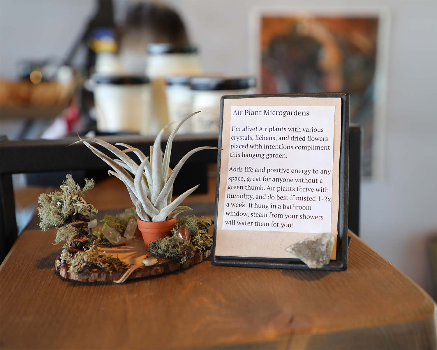 King Soopers Flowers Fort Collins Best Flower Site